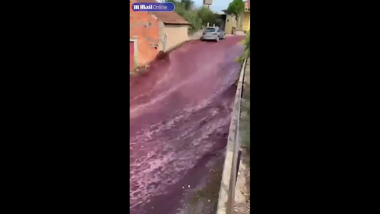 Video - Clip: Dòng sông rượu vang đỏ chạy qua khu dân cư gây kinh ngạc