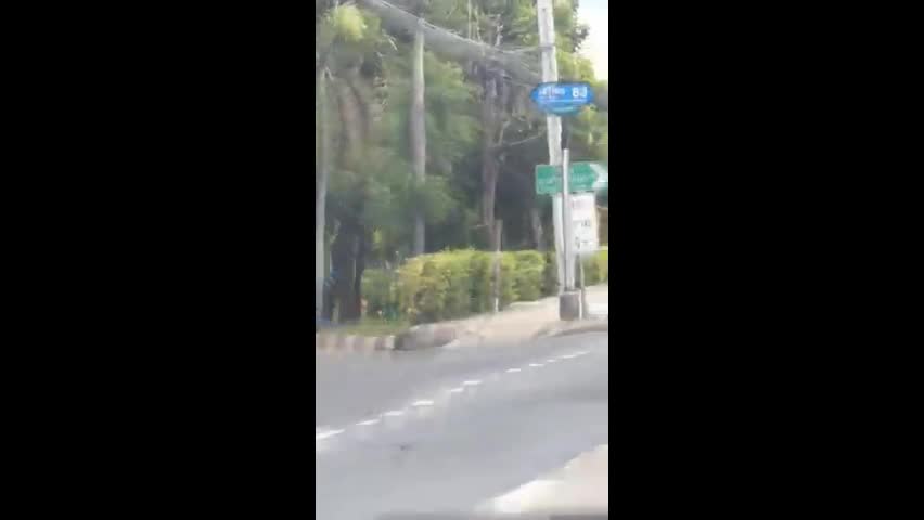 Video - Clip: Vẹt ngồi trên vai người lái xe máy đang di chuyển qua đường