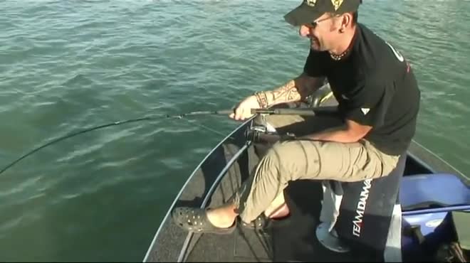 Video - Clip: Người đàn ông câu được cá trê bạch tạng khổng lồ trên sông 