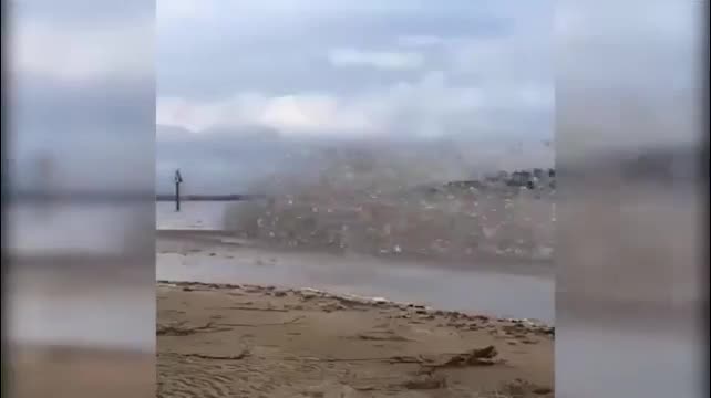 Video - Đi dạo bờ biển, người đàn ông bắt gặp cảnh tượng lạ chưa từng thấy