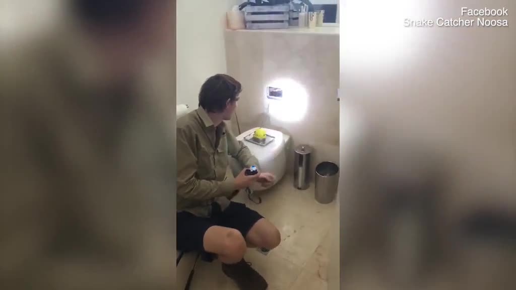 Video - Toilet tự xả nước dù không ai dùng, gia đình phát hiện ra điều đáng sợ