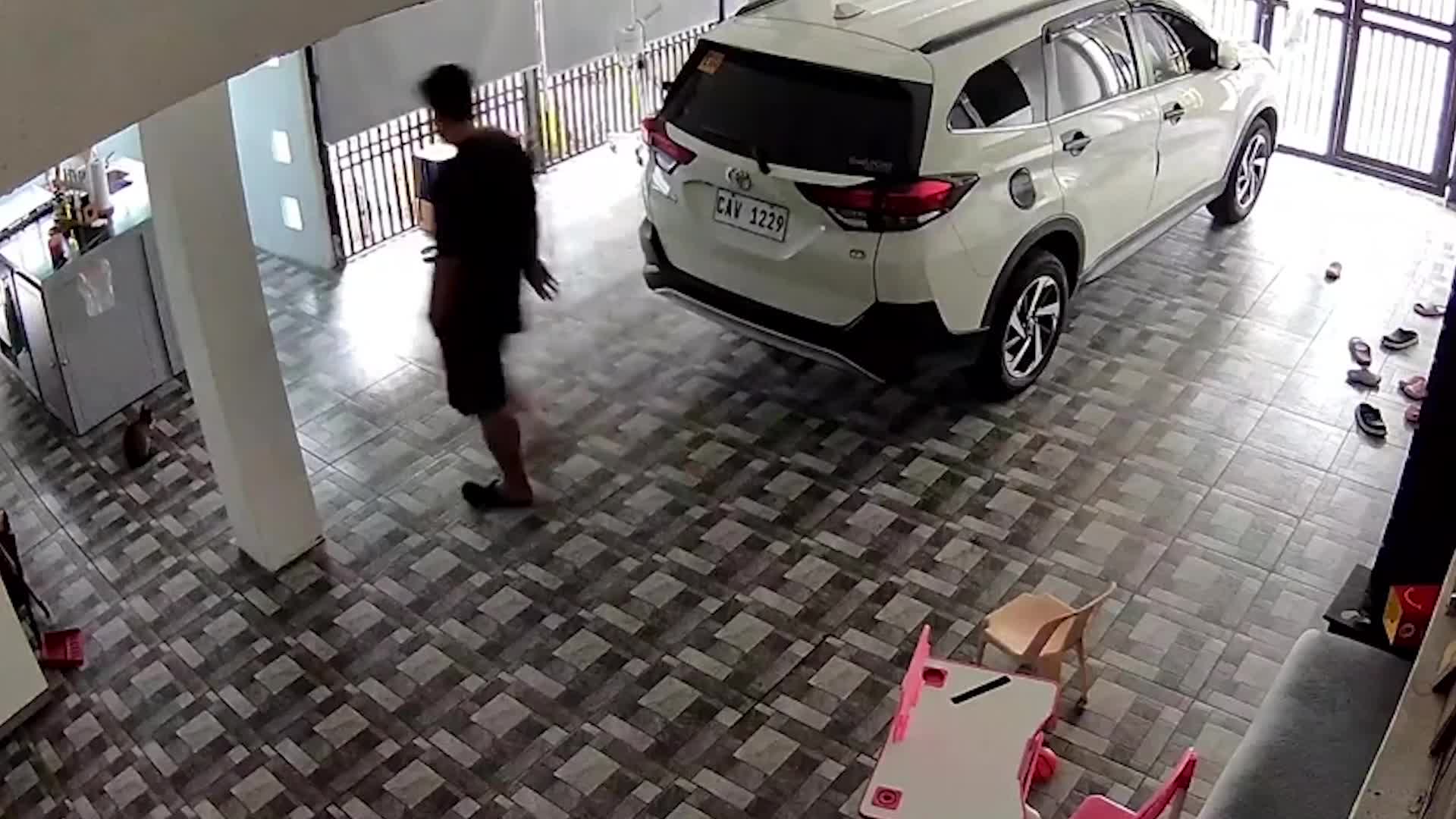 Video - Clip: Bị rắn hổ mang lao tới tấn công, người đàn ông sợ hãi bỏ chạy