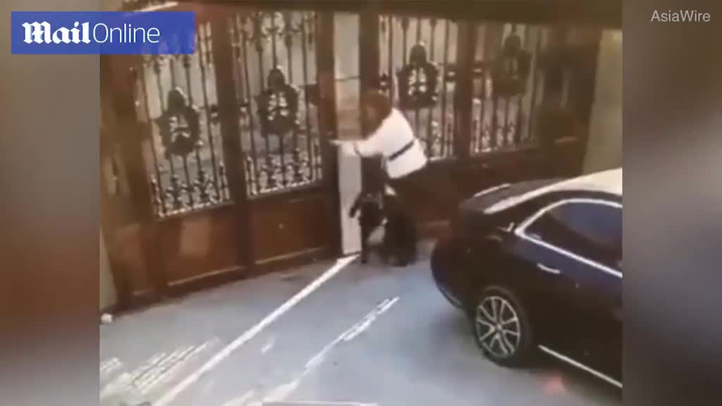 Video - Clip: Cánh cổng sắt bất ngờ đổ sập, suýt đè trúng hai mẹ con