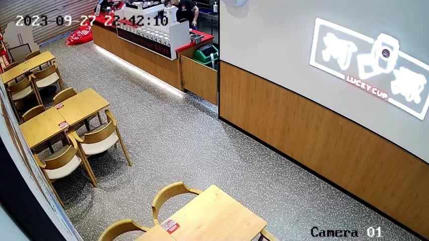 Video - Clip: Nhân viên kinh ngạc khi con hươu lao vào cửa hàng đồ uống