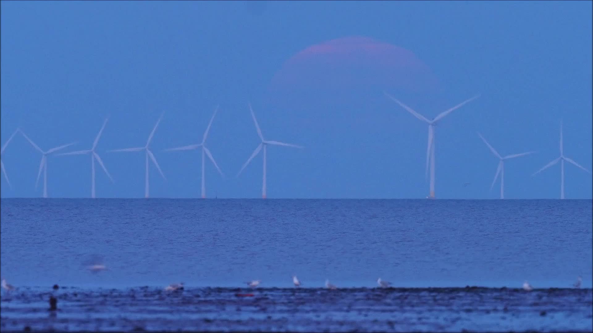 Video - Clip: Siêu trăng thu hoạch tuyệt đẹp xuất hiện trên một trang trại gió