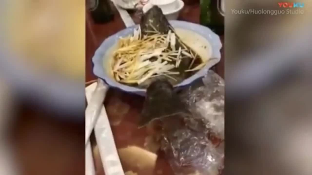 Video - Clip: Cá nấu chín bất ngờ nhảy khỏi đĩa khiến 2 người đàn ông sợ hãi
