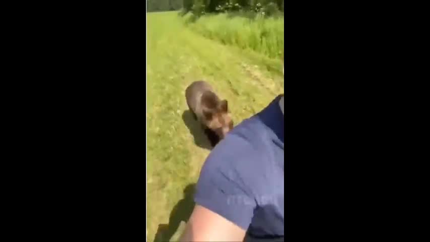 Video - Clip: Người đàn ông bị gấu rượt đuổi và diễn biến bất ngờ ở phía sau