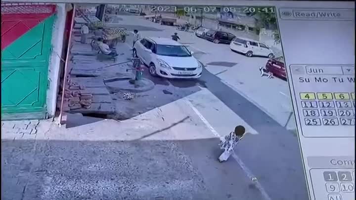 Video - Clip: Vẫy tay gọi chó hoang, bé gái bị tấn công ngay giữa phố