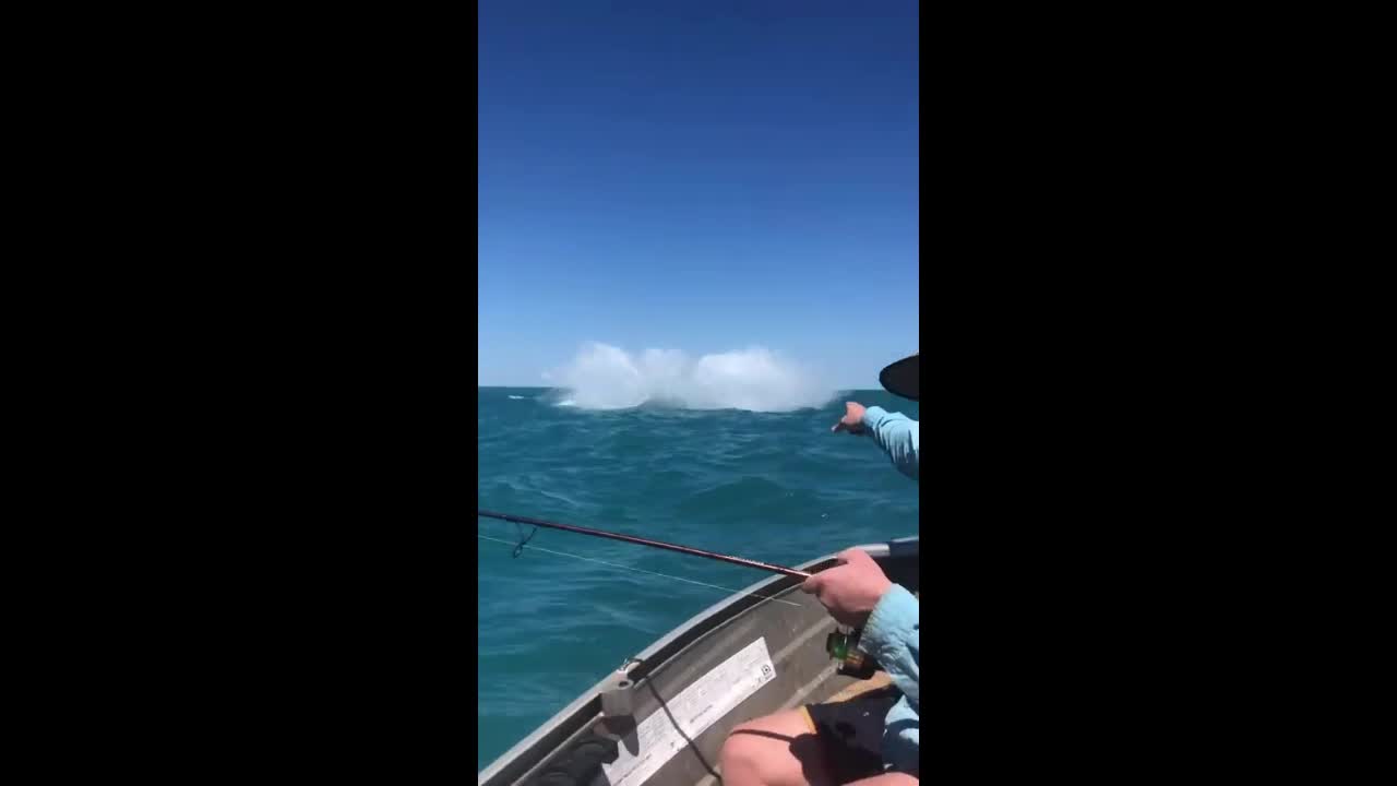 Video - Clip: Ngoạn mục cảnh cá voi to lớn lao tới cạnh thuyền của ngư dân