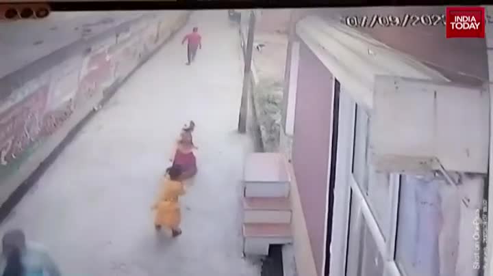Video - Clip: Bị đàn chó hoang truy đuổi, bé trai tăng tốc bỏ chạy và cái kết