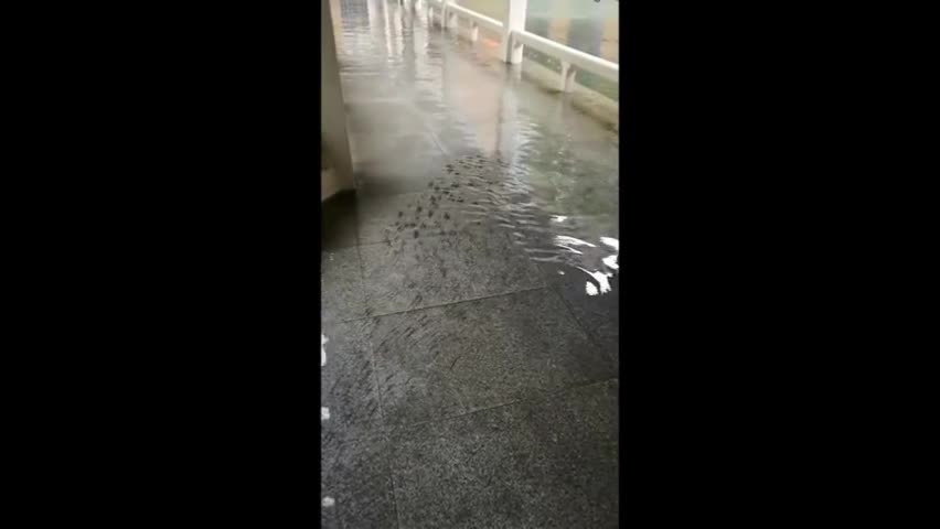 Video - Clip: Nhiều đàn cá bơi ở hành lang khách sạn sau cơn bão Haikui