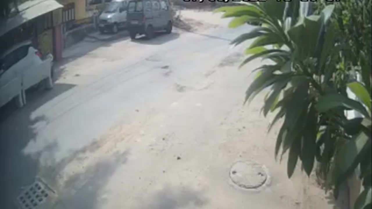Video - Clip: Bò đang chạy bất ngờ lao thẳng vào đầu ô tô như tự sát
