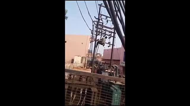 Video - Say rượu trèo lên cột điện, người đàn ông bị điện giật rơi xuống đất