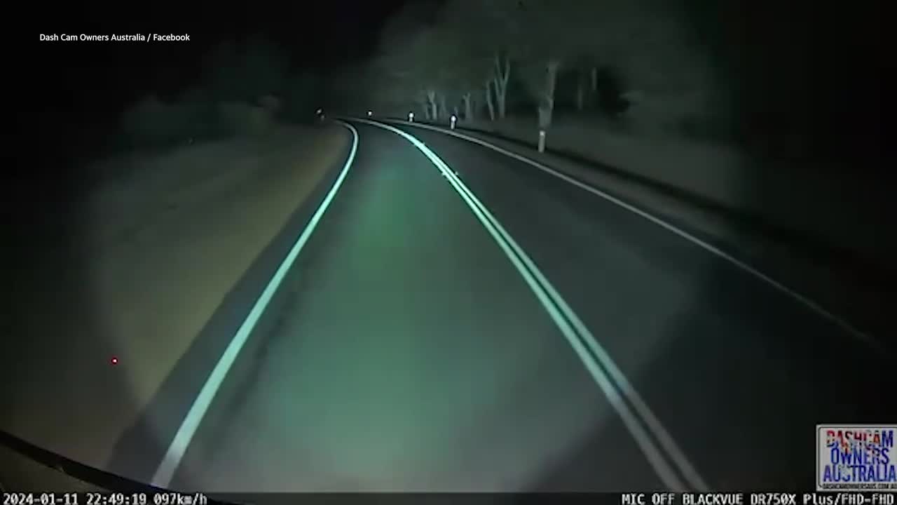 Video - Đang lái xe trên đường, tài xế sợ hãi khi thấy cảnh trước mắt