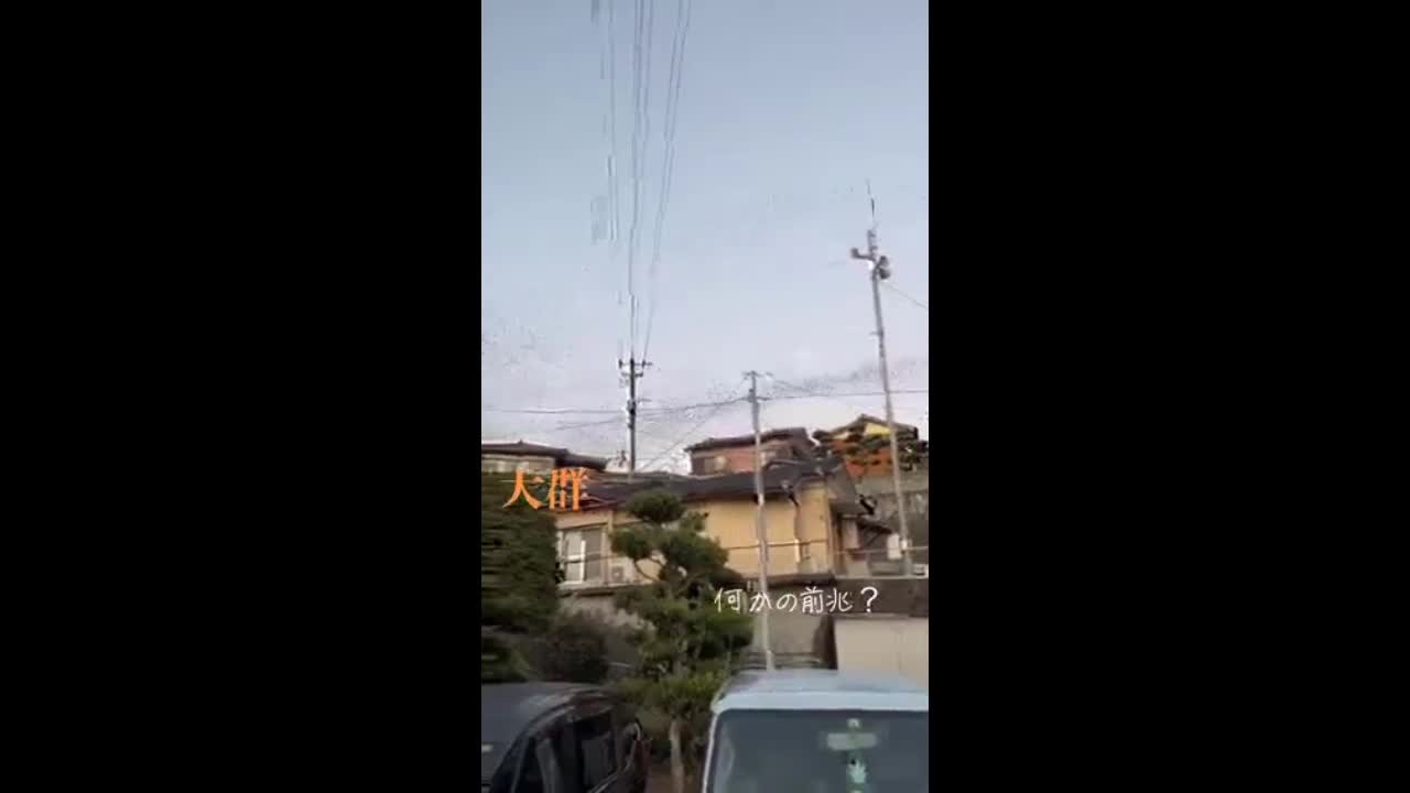 Video - Người dân ghi được hiện tượng lạ xảy ra trước trận động đất ở Nhật Bản (Hình 2).
