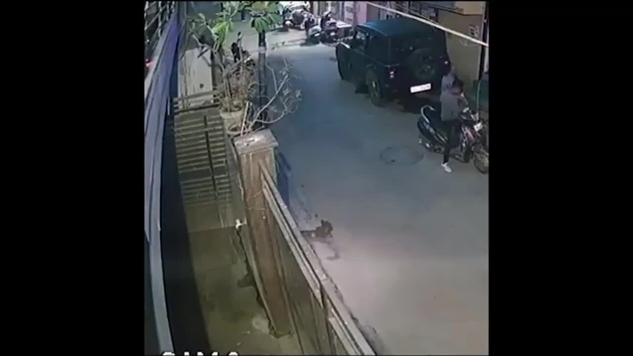 Video - Clip: Mẹ phản ứng cực nhanh, cứu con trai thoát khỏi chó dữ