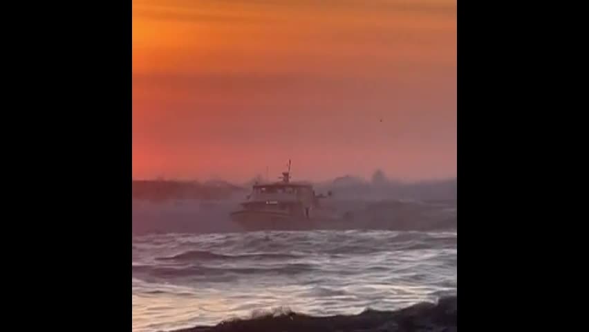Video - Clip: Thuyền ngắm cá voi suýt bị lật úp ở San Diego