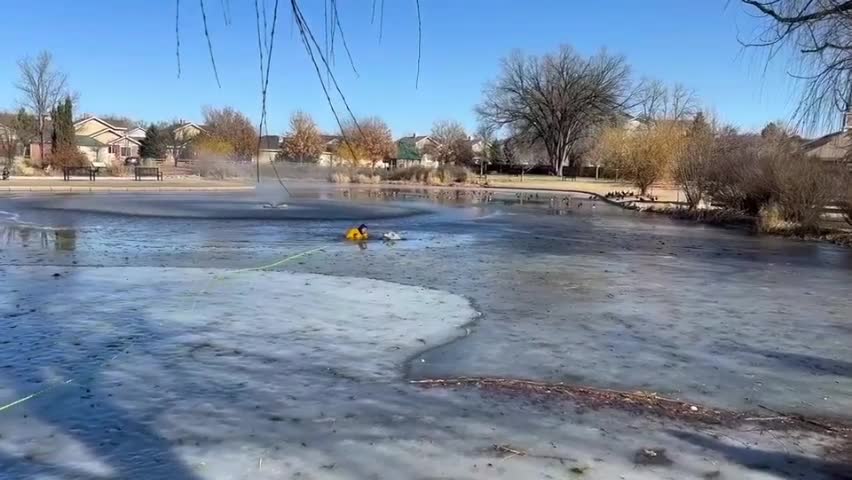 Video - Clip: Lính cứu hỏa giải cứu chú chó mắc kẹt trên mặt hồ đóng băng