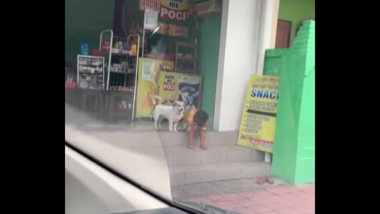 Đời sống - Kinh ngạc khoảnh khắc chú chó lại gần an ủi cậu bé đang buồn bã