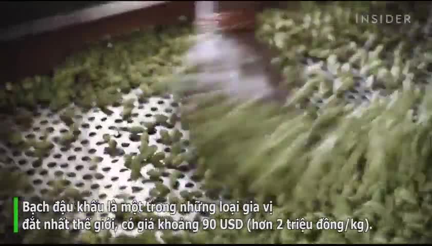 Đời sống - Loại hạt đắt đỏ bậc nhất thế giới, giá tận 2 triệu/kg không ngờ có đầy ở Việt Nam (Hình 5).