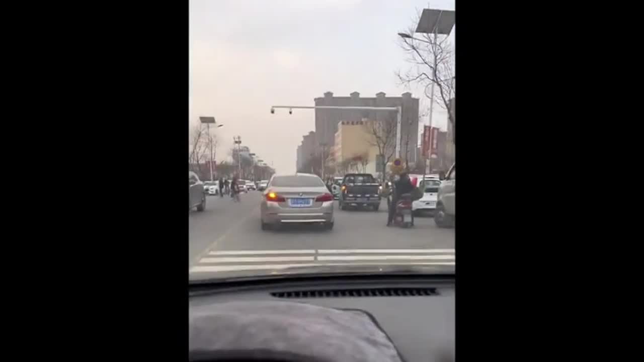 Video - Clip: Đà điểu chạy khỏi chuồng lao vào xe cộ trên đường phố