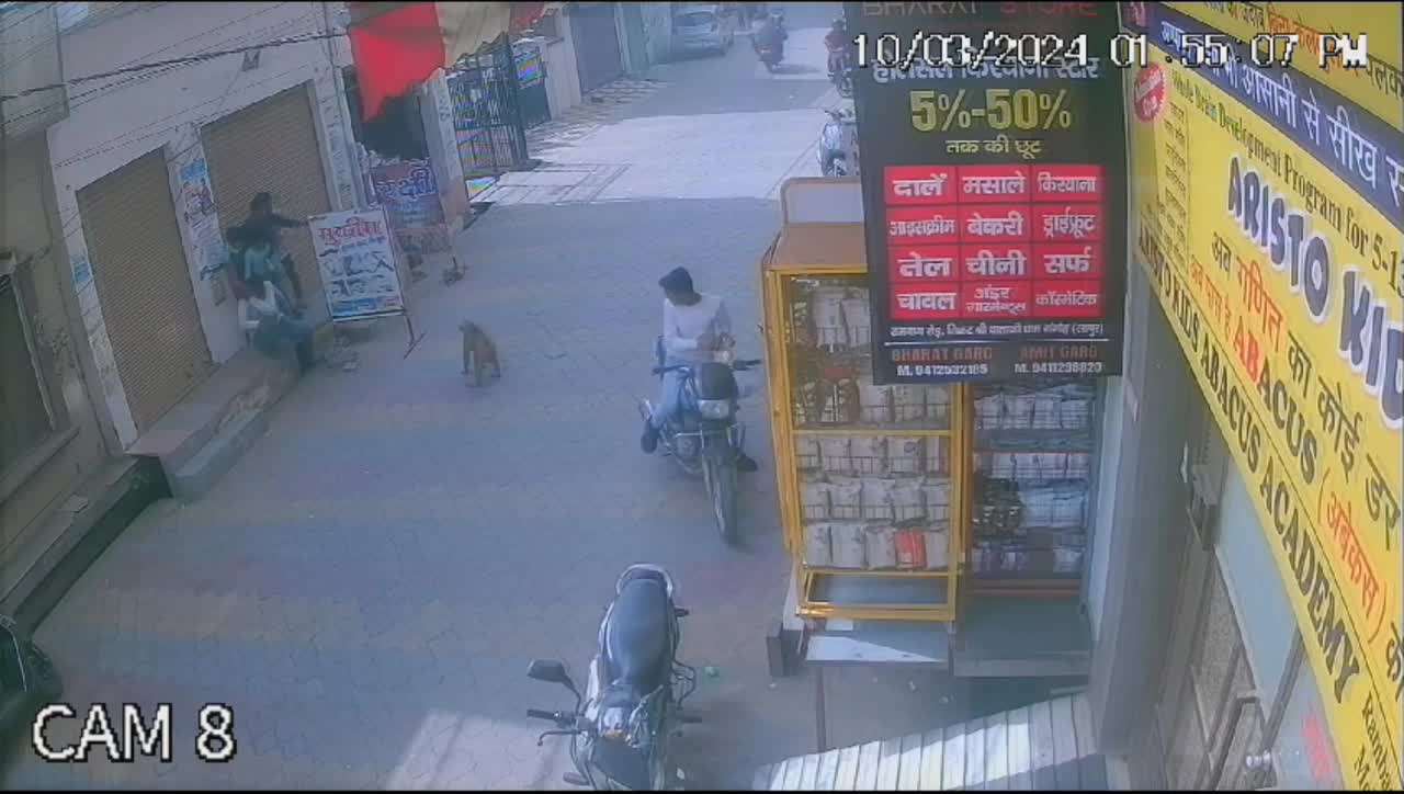 Video - Clip: Khỉ hung hăng truy đuổi, tấn công bé trai trên phố