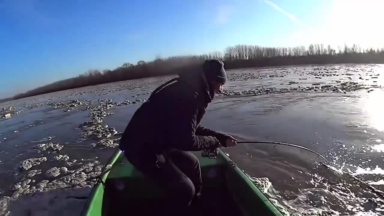 Video - Clip: Vừa thả câu, người đàn ông bất ngờ bắt được cá nheo khổng lồ