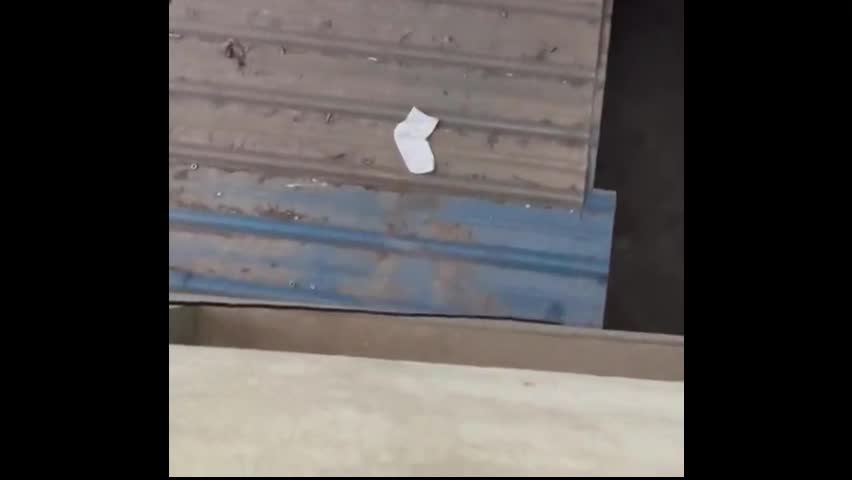 Video - Clip: Kinh ngạc người đàn ông dùng con tôm lấy lại đồ bị rơi