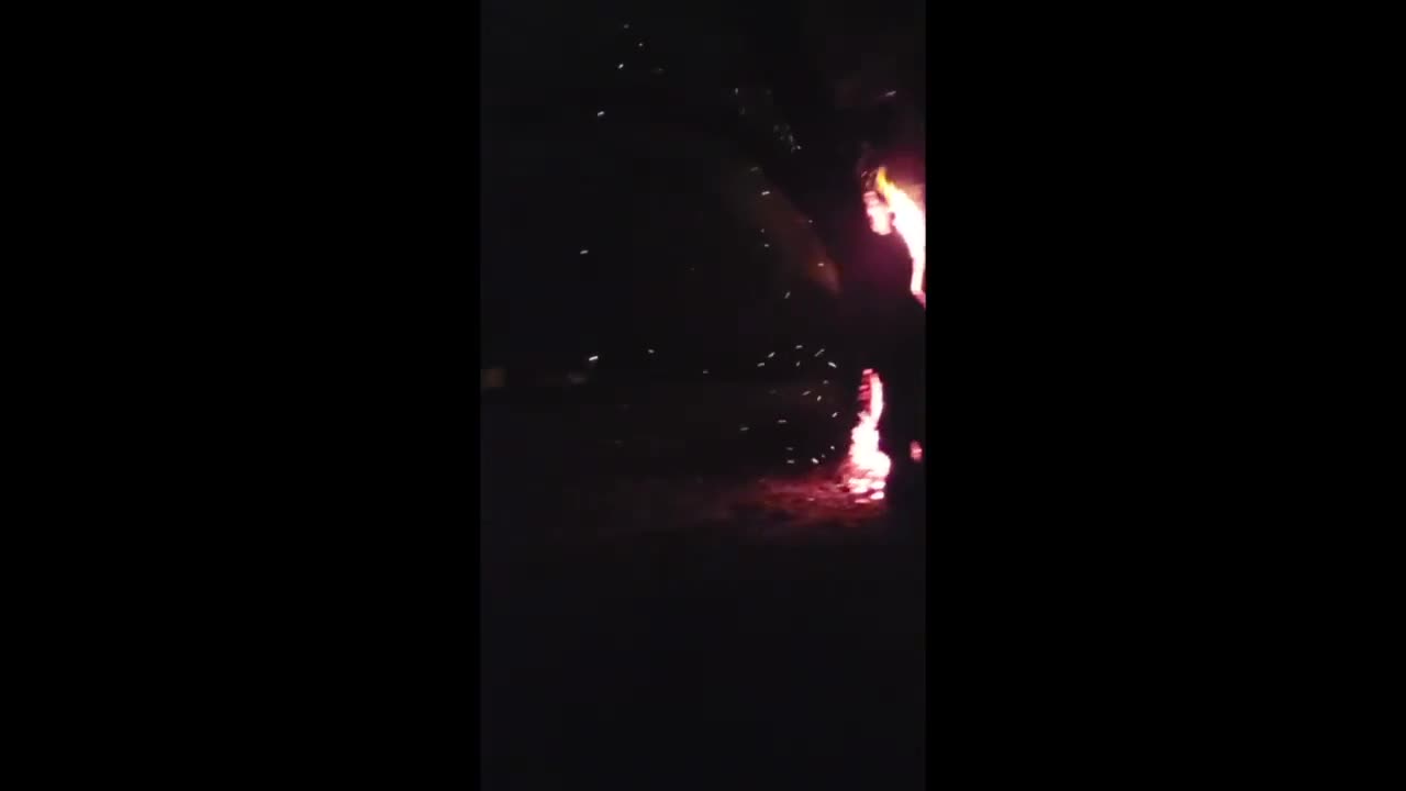 Video - Clip: Cây bốc cháy dữ dội sau khi bị sét đánh