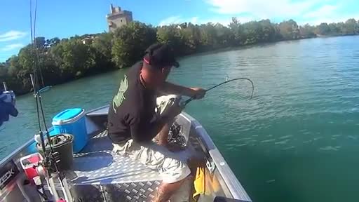 Video - Người đàn ông câu được con cá trê khổng lồ dài 2,6 mét trên sông