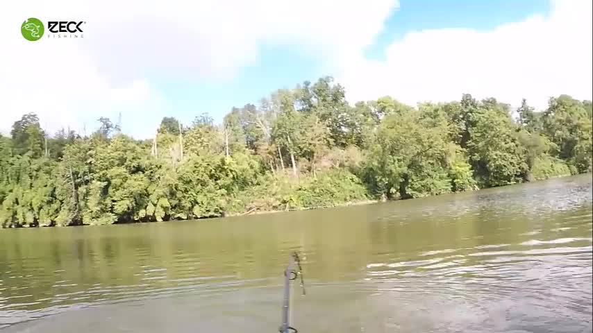 Video - Clip: Người đàn ông câu được con cá trê khổng lồ dài 2,74 mét