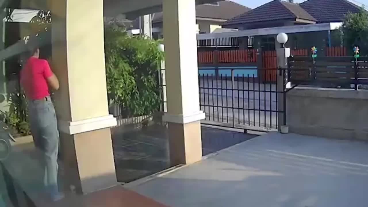Video - Clip: Khỉ hoang dã tấn công một người phụ nữ trước cổng nhà