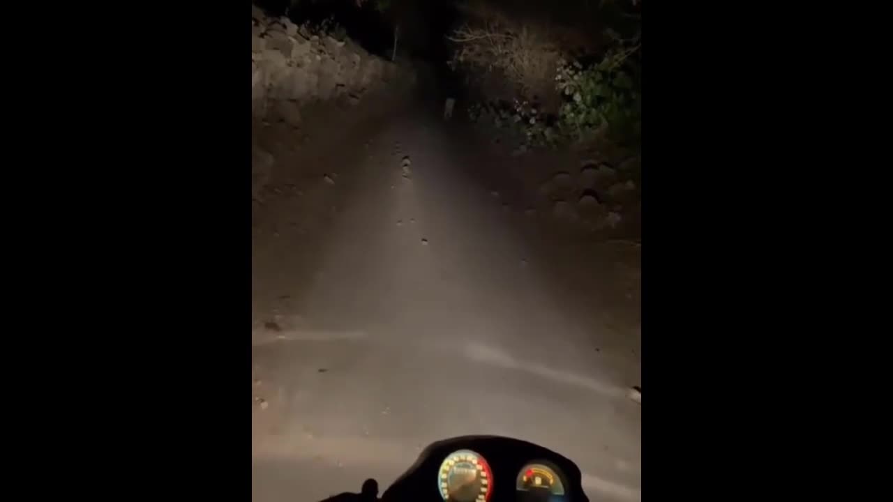 Video - Clip: Người đàn ông chạm trán sư tử giữa đêm khuya và cái kết gay cấn