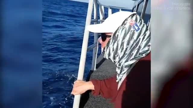 Video - Clip: Cụ bà 68 tuổi câu được cá mú khổng lồ dài 1,6 mét trên biển