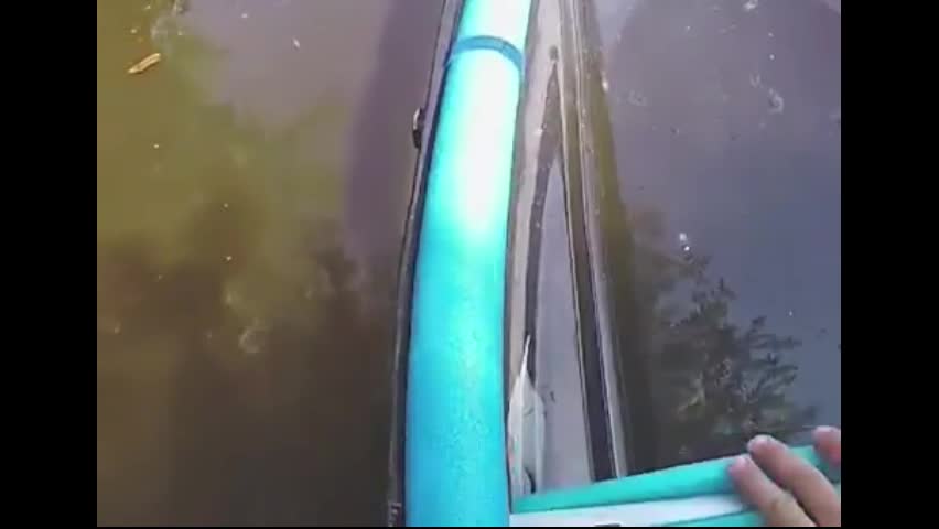 Video - Clip: Kinh hoàng người chèo thuyền va phải cá sấu khổng lồ