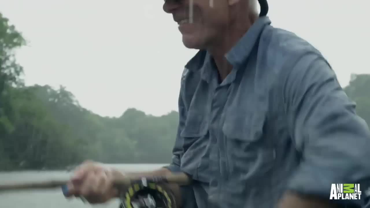 Video - Người đàn ông câu được cá hải tượng long nặng 113kg trên sông Amazon