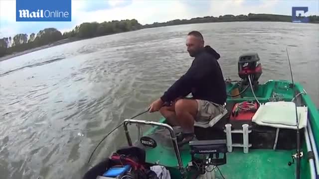 Video - Clip: Người đàn ông câu được con cá da trơn khổng lồ nặng 120kg
