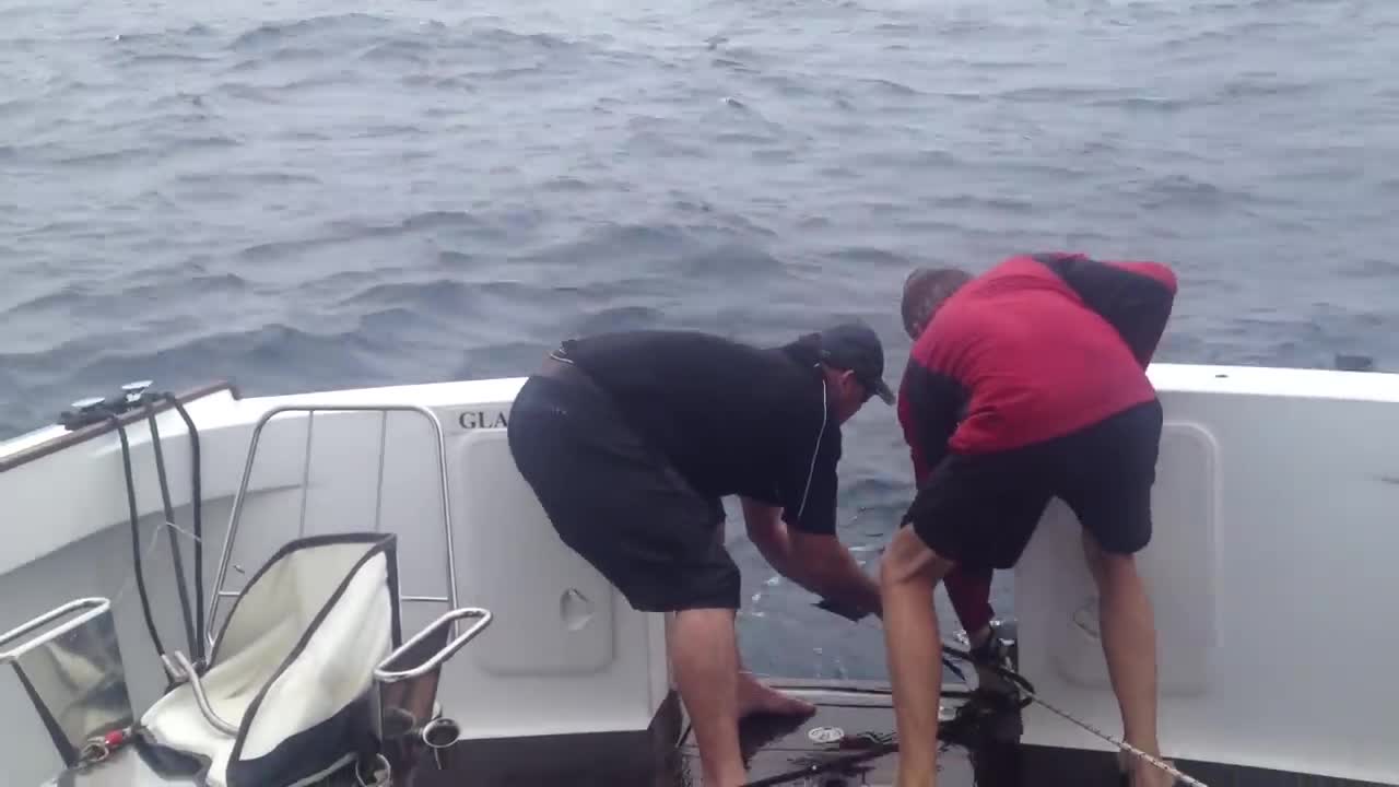 Video - Người phụ nữ câu được cá ngừ khổng lồ nặng 411 kg, hơn 40 tỷ đồng