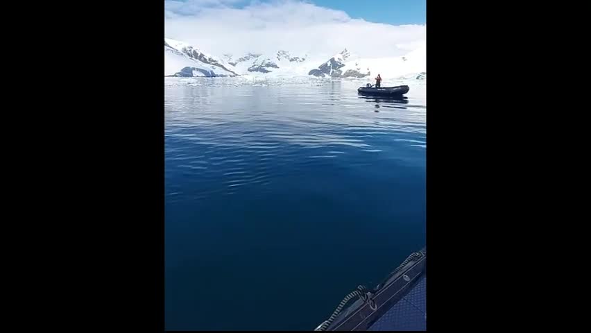 Video - Kinh hãi loài cá voi lớn thứ hai trên thế giới bơi ngay dưới thuyền cao su