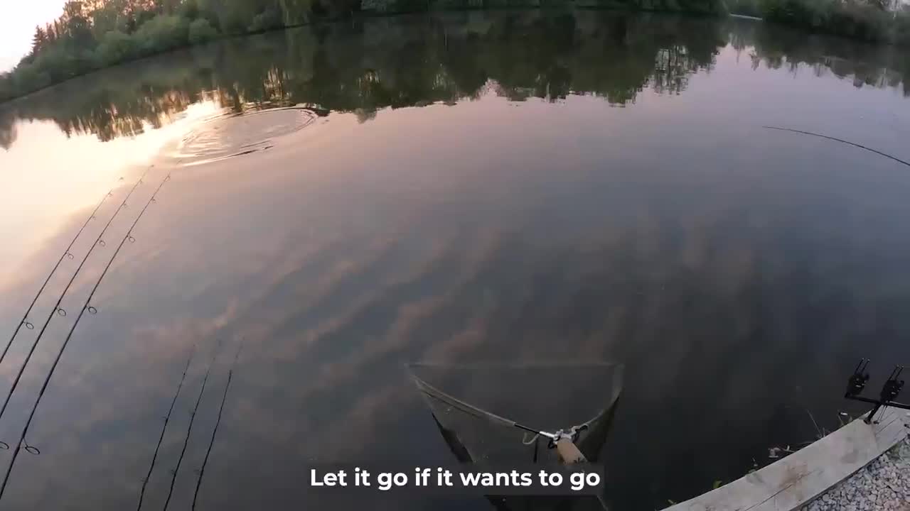 Video - Clip: Cậu bé câu được con cá chép khổng lồ nặng gần 45kg ở hồ nước