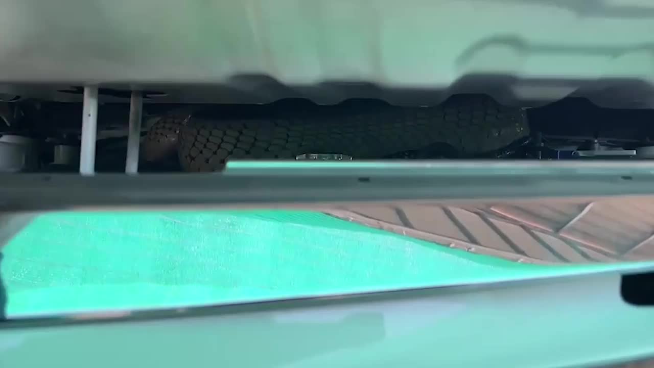 Video - Tóm gọn rắn hổ mang chúa dài 4,5m, nặng 16kg ẩn nấp trong ô tô