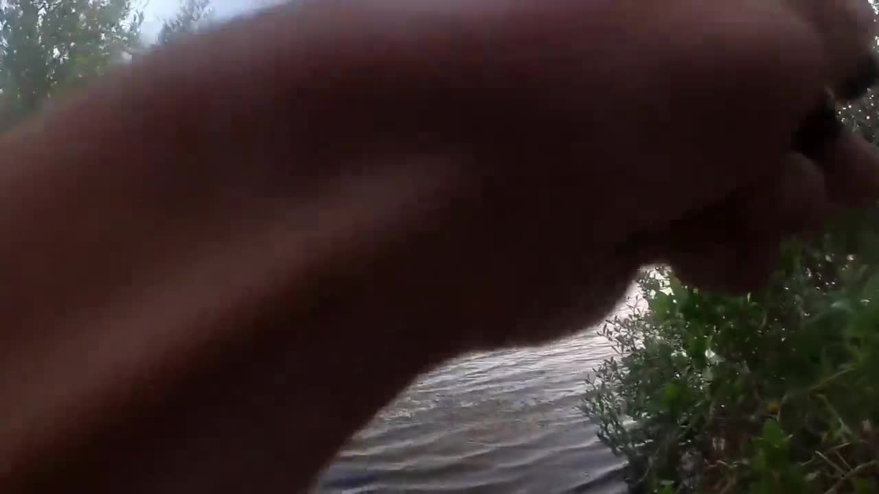 Video - Đang câu cá, thanh niên vội bỏ chạy khi thấy thứ đáng sợ đuổi theo