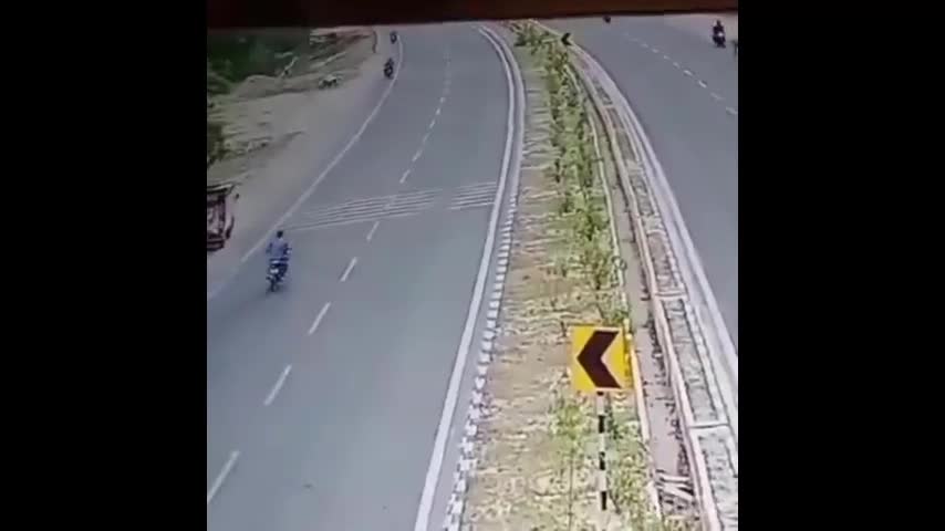 Video - Linh dương lao qua đường cao tốc húc người đàn ông đi xe máy tử vong