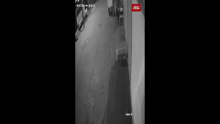 Video - Clip: Người đàn ông bị 5 con chó hoang lao vào tấn công trên phố