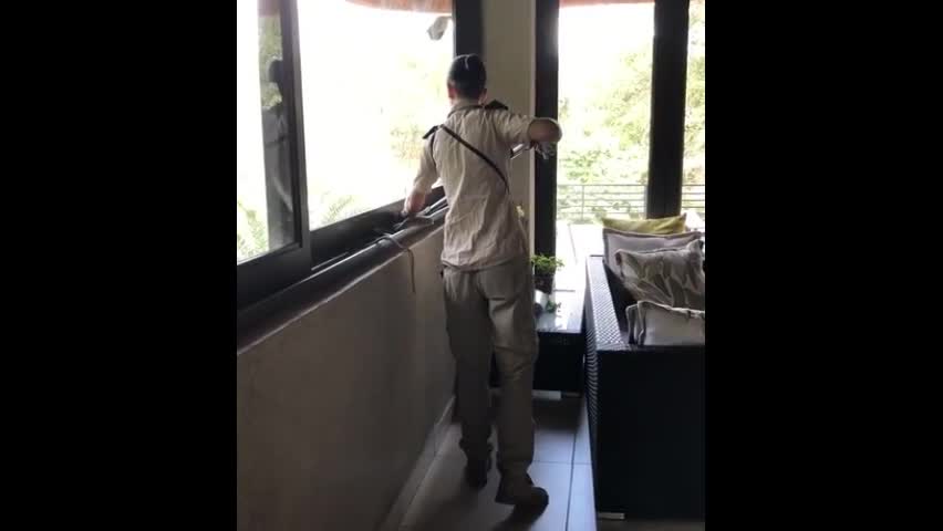 Video - Clip: Người phụ nữ dũng cảm bắt rắn độc mamba đen bằng tay không