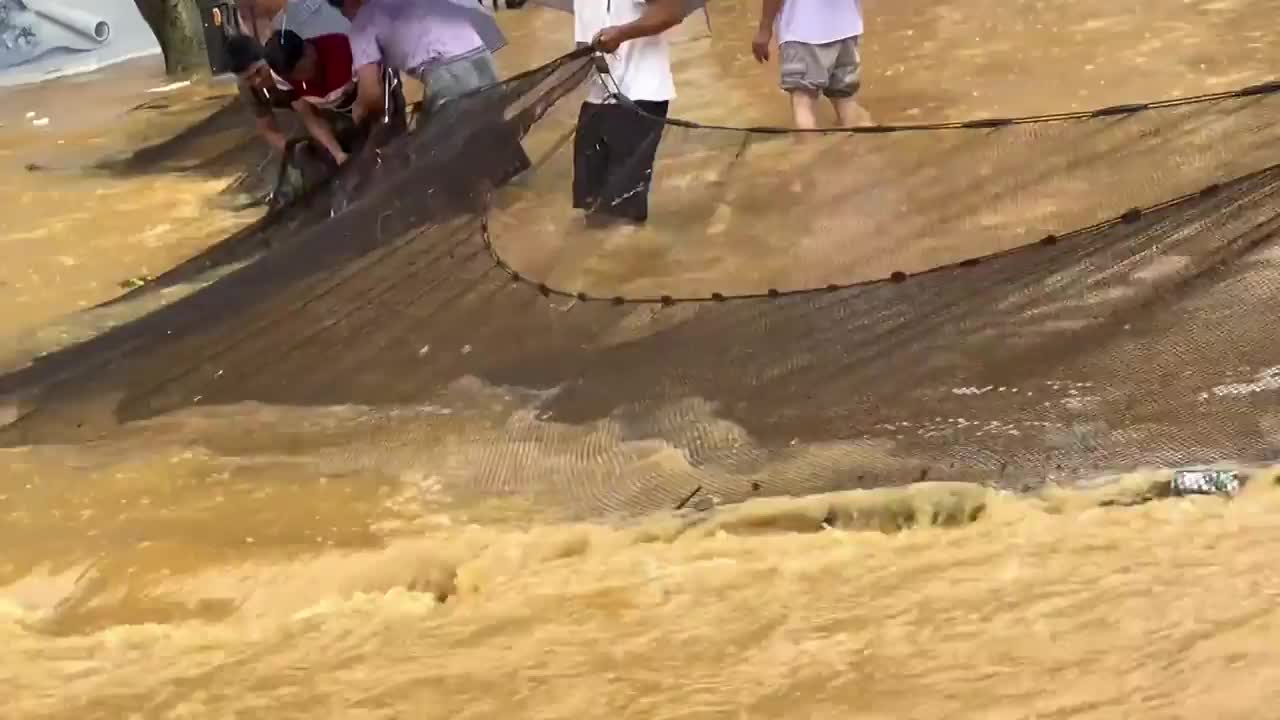 Video - Clip: Người dân đổ xô đi bắt cá trên đường phố ngập lụt do mưa lũ