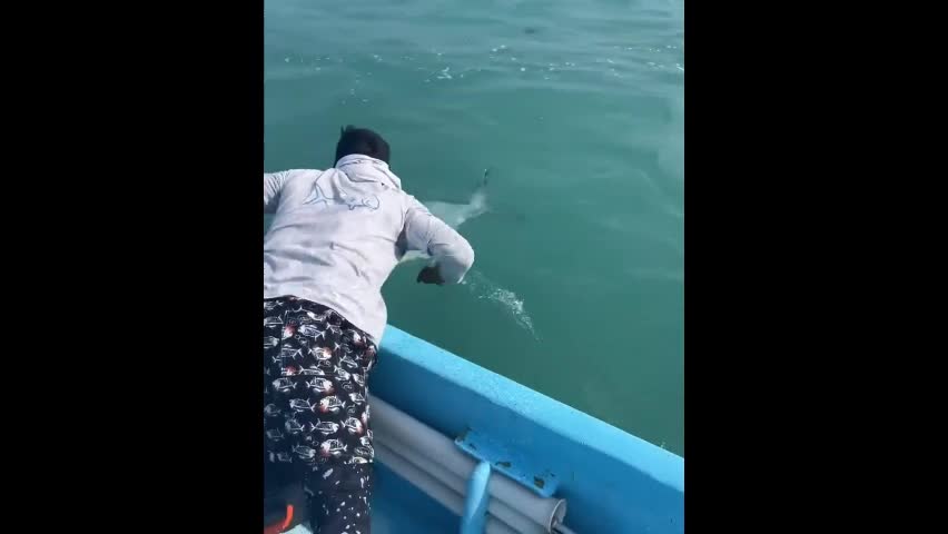 Đời sống - Kinh ngạc ngư dân bắt được cá “khủng” đang bơi bằng tay không