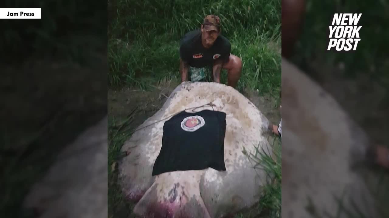 Video - Người đàn ông câu được cá đuối khổng lồ nặng 250kg trên sông
