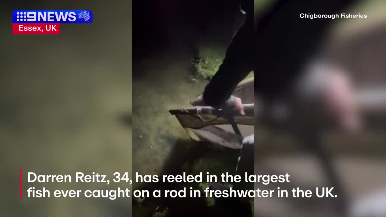 Video - Clip: Người đàn ông câu được con cá da trơn khổng lồ nặng 64,4kg