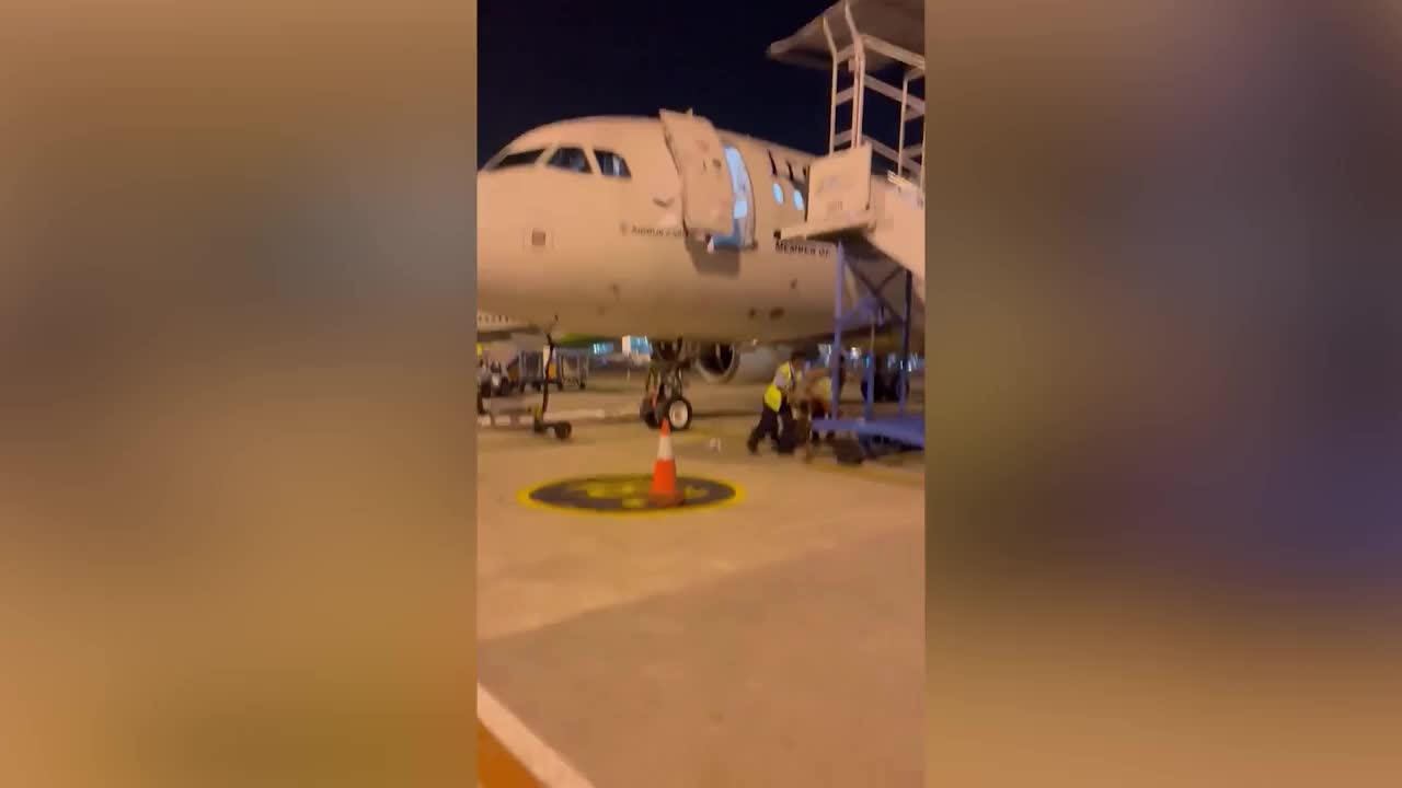 Video - Clip: Nhân viên mặt đất bất ngờ rơi từ cửa máy bay xuống đất